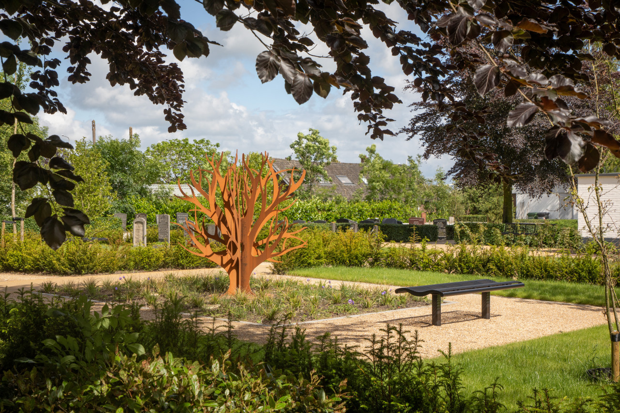 Gedenkbomen groot cortenstaal