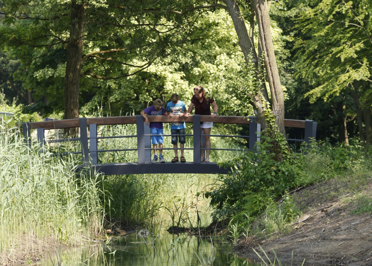 Houten voetgangersbrug  parkbrug