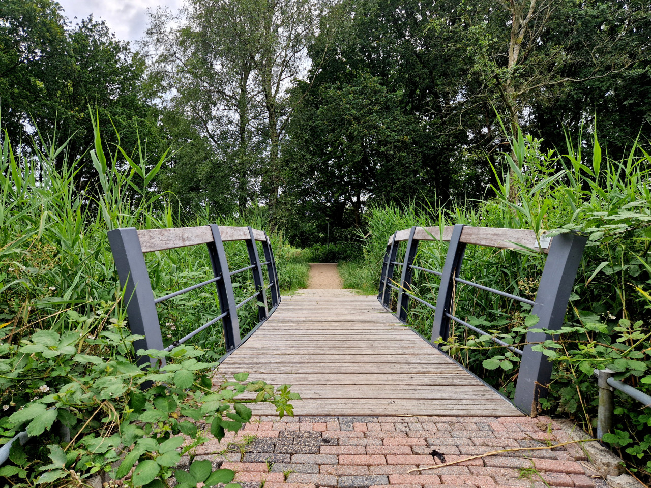 Parkbrug voetgangersbrug